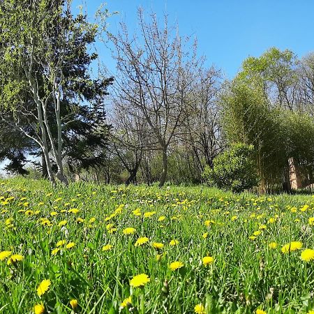 Chambre Soignee Et Accueillante A La Campagne - Ch. Jaune L'Honor-de-Cos Buitenkant foto
