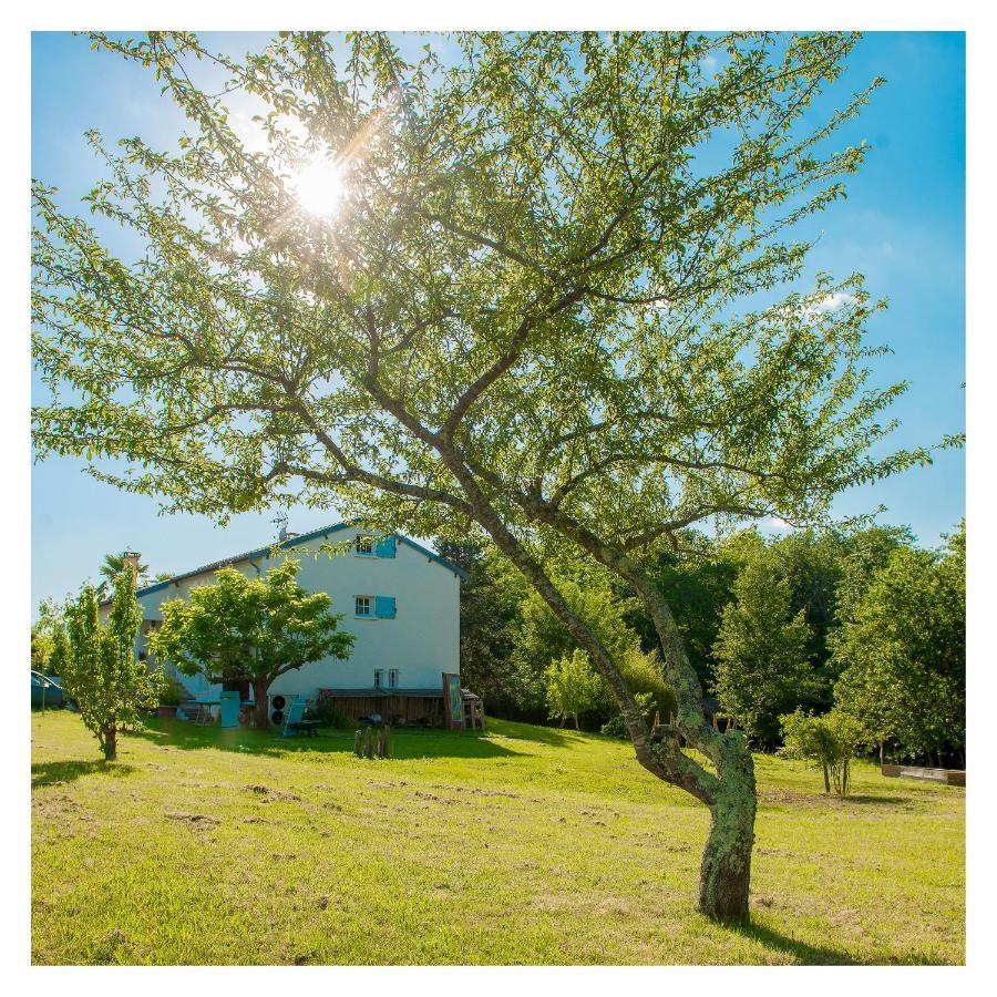 Chambre Soignee Et Accueillante A La Campagne - Ch. Jaune L'Honor-de-Cos Buitenkant foto